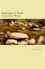 Sometimes I Think I Am Like Water - Preview