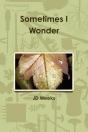Sometimes I Wonder - Preview