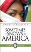 Sometimes It Snows In America