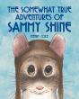Somewhat True Adventures Of Sammy Shine - Preview