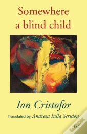 Somewhere A Blind Child