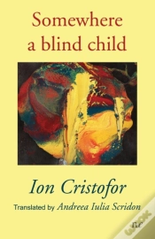 Capa do artigo Somewhere A Blind Child