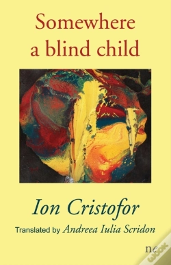 Capa do artigo Somewhere A Blind Child