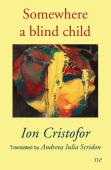 Somewhere A Blind Child