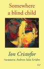 Somewhere A Blind Child - Preview