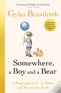 Capa do artigo Somewhere, A Boy And A Bear