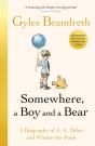 Somewhere, A Boy And A Bear - Preview