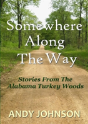 Somewhere Along The Way - Preview
