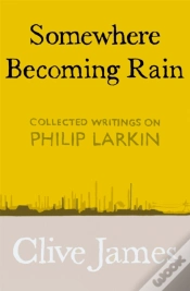 Capa do artigo Somewhere Becoming Rain