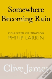 Capa do artigo Somewhere Becoming Rain