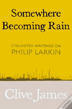 Capa do artigo Somewhere Becoming Rain