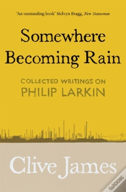 Capa do artigo Somewhere Becoming Rain