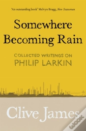 Capa do artigo Somewhere Becoming Rain