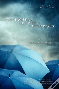Capa do artigo Somewhere Between Raindrops