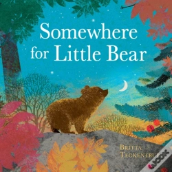 Capa do artigo Somewhere For Little Bear