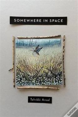 Capa do artigo Somewhere In Space