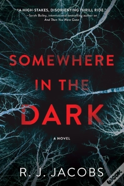 Capa do artigo Somewhere In The Dark