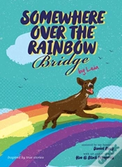 Capa do artigo Somewhere Over The Rainbow Bridge