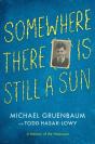 Somewhere There Is Still A Sun - Preview