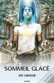 Capa do artigo Sommeil Glace