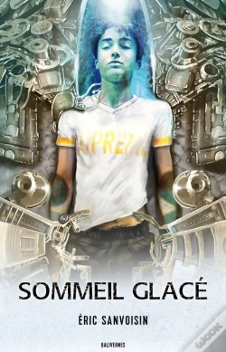 Capa do artigo Sommeil Glace