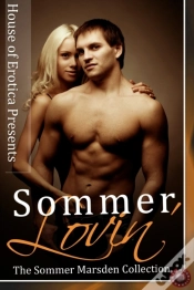 Capa do artigo Sommer Lovin