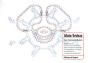 Somnanbules (Les) Alain Sechas - Preview