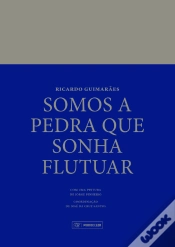 Capa do artigo Somos a Pedra que Sonha Flutuar 