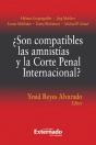 ¿Son Compatibles Las Amnistías Y La Corte Penal Internacional? - Preview