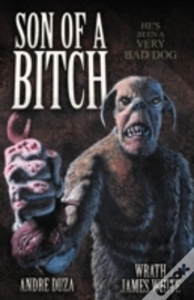 Capa do artigo Son Of A Bitch