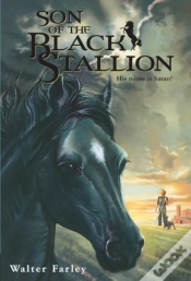 Capa do artigo Son Of The Black Stallion
