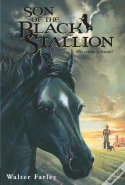 Capa do artigo Son Of The Black Stallion