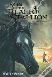 Son Of The Black Stallion
