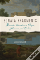 Sonata Fragments