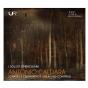 Sonatas & Cantatas For Violin And Continuo - CD - Preview