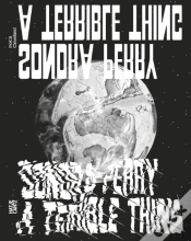 Capa do artigo Sondra Perry: A Terrible Thing