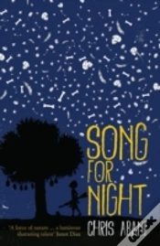 Capa do artigo Song For Night