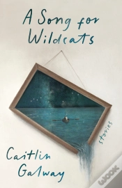 Capa do artigo Song For Wildcats