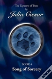 Capa do artigo Song Of Sorcery