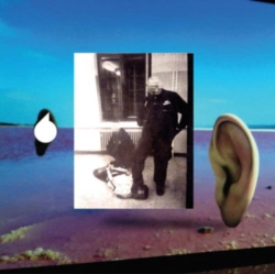 Capa do artigo Songbook #6 - Vinil
