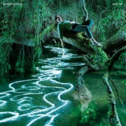 Capa do artigo Songdreaming - CD