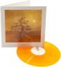 Songs of Moors and Misty Fields - Vinil - Preview