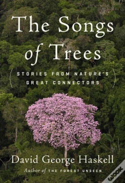 Capa do artigo Songs Of Trees