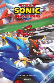 Capa do artigo Sonic The Hedgehog Racing Team