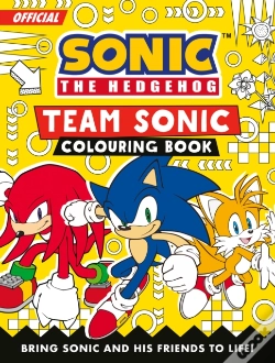 Capa do artigo Sonic The Hedgehog Team Sonic Colouring Book