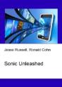 Sonic Unleashed - Preview