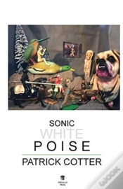 Capa do artigo Sonic White Poise