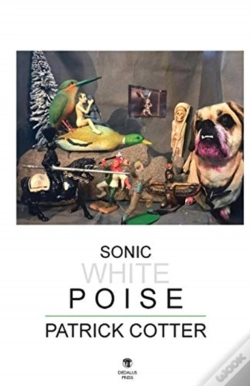Capa do artigo Sonic White Poise