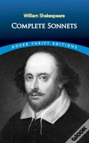 Capa do artigo Sonnets