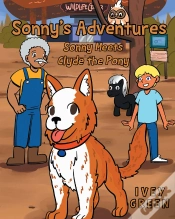 Capa do artigo Sonny